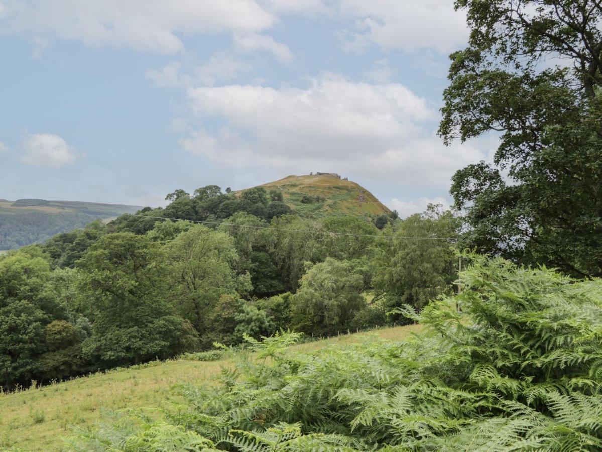 Tan Y Castell Shepherds Hut 兰戈伦 外观 照片